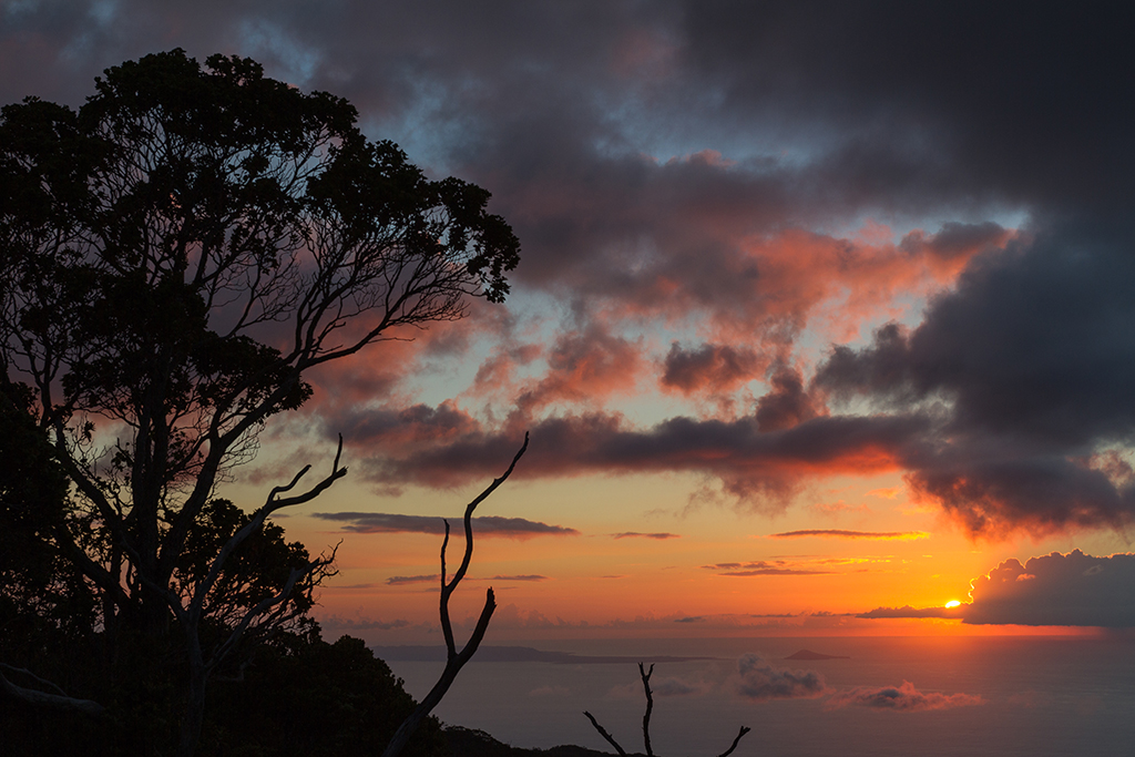 Kauai - 043.jpg